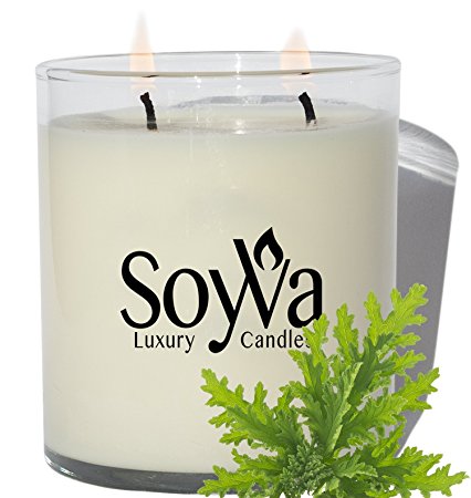 Citronella Candle by SoyVa | Freshly Scented Natural Soy Wax Candles | Mosquito Repellant and Pet Odor Eliminator | Luxury Double Wick Design | Hand Made in the USA, 9oz.