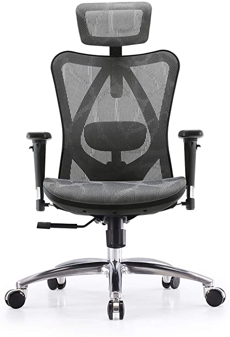 SIHOO Ergonomic Office Chair Adjustable Lumbar Support 3D Armrests Skin-Friendly Mesh Desk Chair High Back(Grey)