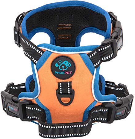 PHOEPET 2019 Upgraded No Pull Dog Harness, Unique Colors Reflective Adjustable Vest, with a Training Handle   2 Metal Leash Hooks  3 Snap Buckles  4 Slide Buckles [Easy to Put on & Take Off]