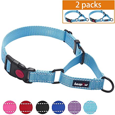 haapaw 2 Packs Martingale Dog Collar with Quick Release Buckle Reflective Dog Training Collars for Small Medium Large Dogs