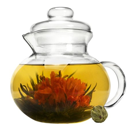 Primula Blossom Glass Teapot - Wide Mouthed Borosilicate Glass - 40 oz. - Dishwasher and Microwave Safe - Clear - Includes 1 Flowering Tea