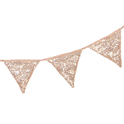 Ling's moment Sparkly Metallic Champagne Gold Sequin Pennant Banner Triangle Flag Bunting for Kids Teepee Wedding Party Birthday Bachelorette Party Decorations 9 Flags, Pack of 1