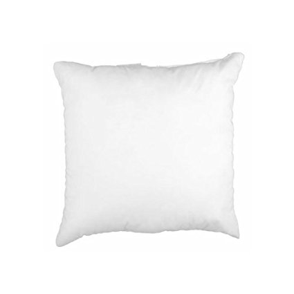 16'' x 16'' Indoor/Outdoor Poly Fill Pillow Form