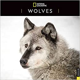 National Geographic: Wolves 2023 Wall Calendar