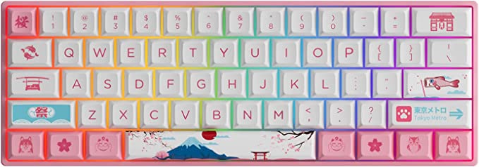 Akko World Tour Tokyo 3061S 60% Pink Wired Mechanical Gaming Keyboard, RGB Backlit, Hot-swappable Wired with OSA Profile PBT Keycaps and NKRO (Jelly Pink Switches)