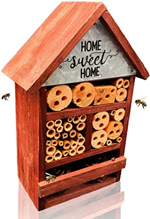 NatureZ Edge Eco Friendly Bee Hive, Mason Bee House, Give Your Live Ladybugs or Lacewings a Place To Live, Attract Beneficial Bugs