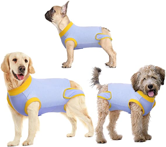 IDOMIK Recovery Suit for Dogs After Surgery, Recovery Shirt for Male Female Dog Cats, Cone E-Collar Alternative Abdominal Wounds Spay Bandages Onesie, Anti-Licking Pet Surgical Recovery Snuggly Suit