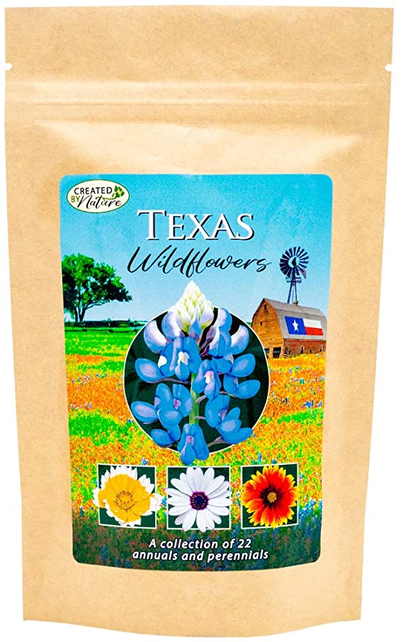 Texas Wildflower Seed Mix - Over 60,000 Premium Seeds - by 'createdbynature'