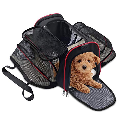 Wot i Soft Side Pet Carrier, Pet Carrier for Dogs & Cats, Expandable Soft Pet Carrier with Removable Fleece Mat for Easy Carry on Luggage, Travel Bag for Small Animals, Portable Handbag, Black