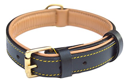 Soft Touch Collars - Luxury Real Leather Padded Dog Collar