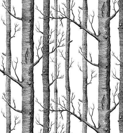 Modern Minimalist Birch Tree Pattern Waterproof Wallpaper Wall Paper Roll for Livingroom Bedroom, 20.8 In32.8 Ft=57 Sq.ft,black&Off-white