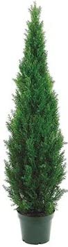 One 60 Inch Indoor Outdoor 5 Foot Artificial Cedar Pine Topiary Tree Uv Rated Potted Plant