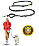 1 Best Quality Hands Free Dog Leash By Hertzko - Enjoy the Extra Freedom While Walking Running or Hiking with Your Dog - Strong Durable and Weather Resistant - 100 Satisfaction and Money Back Guarantee