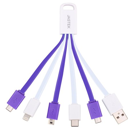 USB Charging Cable,JASTEK 5 in1 Multi USB Charger Cable with Type-C,Mini,Micro,8pin Connectors (1 piece White with Purple)