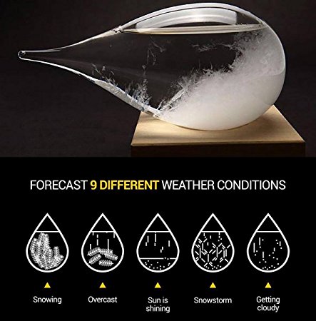 Weather Predicting Storm Glass Set Ornament Display Globe Drop with Stand Large Small Barometer Thermometer Forecasting (Large)