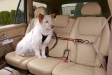 Kurgo Leash and Zipline Dog Vehicle Restraint