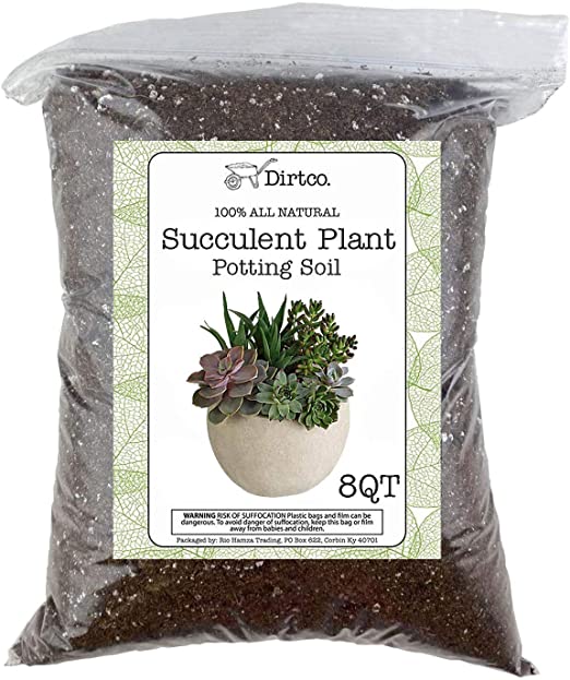 Hand Blended Succulent Soil Mix, XL 8qt Bag, Fast Draining Soil Potting Mix for Succulents