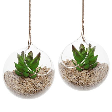 Set of 2 Decorative Clear Glass Globe / Hanging Air Plant Terrarium Planter / Candle Holder - MyGift®