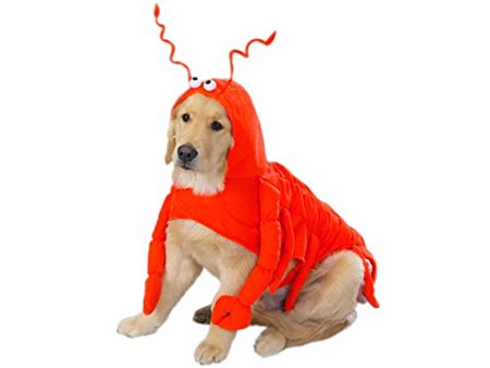 CASUAL CANINE LOBSTER PAWS DOG COSTUMES