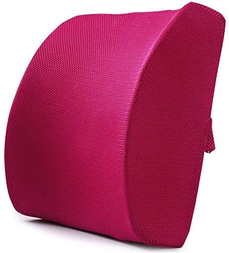 Lumbar Support Pillow, FOME Ergonomic Design Memory Foam Lumbar Support Lumbar Pillow Lumbar Cushions for Office Chair Car Seat Posture Corrector in The Car Office Plane Help Back Relief The Pain