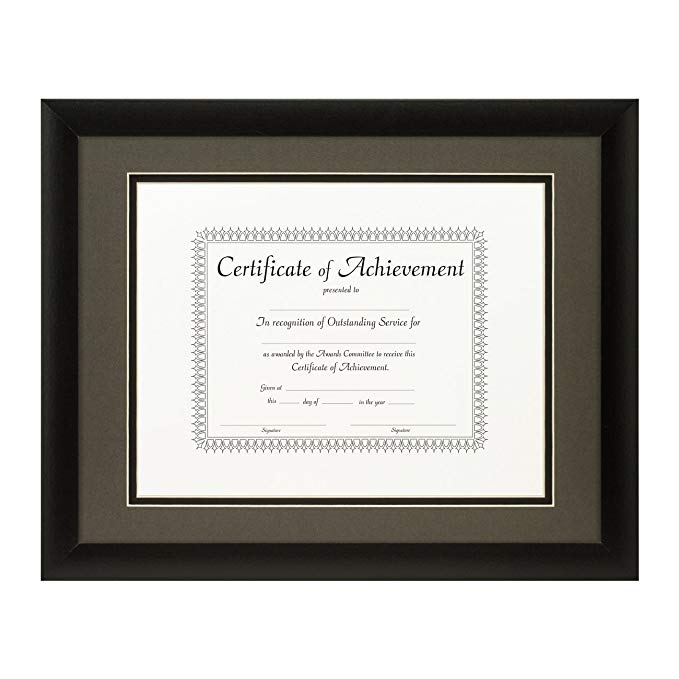 Craig Frames 11x14-Inch Black Document Frame, Cinder/Black Double Mat with Single 8.5x11-Inch Opening
