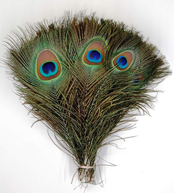 KAYSO Peacock Feathers, 10-inch - 12-inch, 50 Pieces
