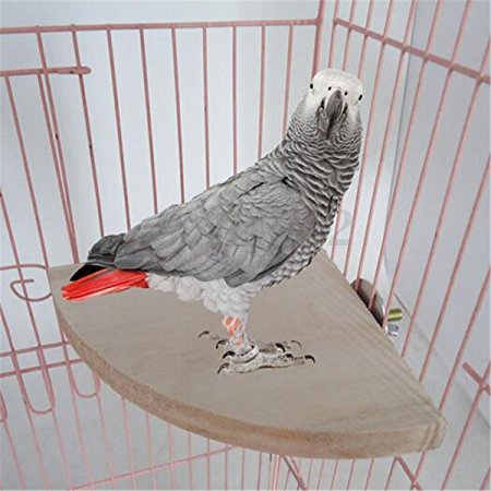 Yosoo 17cm17cm Wooden Parrot Bird Cage Perches Round Coin Stand Platform Budgie Toys Bird Stand for Parakeets