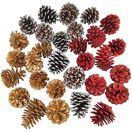 Supla 30 Pcs Assorted Natural Pinecones Frosted Gold Red Pine Cones Ornaments Dried Real Preserved Pine Cones 2"-3" Tall for Christmas Winter Holiday Table Scatters Vase Bowl Filler Wreath Craft