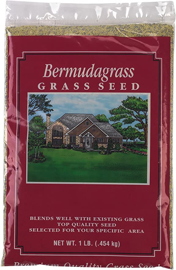 X-Seed Unhulled Bermuda Grass Plant, 1 lb,