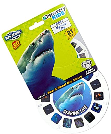 Marine Life Discovery Kids, Ages 3