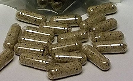 Moringa Oleifera Seed Powder Capsules 1000 Ct. NON GMO - ALL NATURAL! (1000)