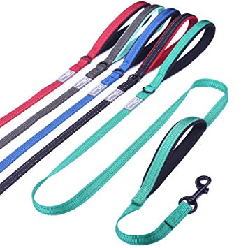 Vivaglory Dog Leash Traffic Padded Two Handles, Heavy Duty Reflective Leashes for Control Safety Training, Walking Lead for Small to Large Dogs