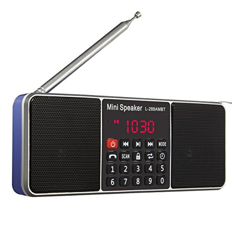 PRUNUS Portable AM FM mp3 Long antenna radio with double magnetic speaker, stereo sound, AUX jack and sleep timer function. Stores stations automatically. Supports the following: Flash drive / Micro SD card / TF card (8GB, 16GB, 32GB, 64GB) to allow the user to play stored MP3 files (Blue)