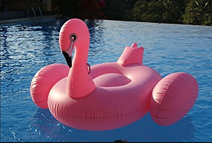 Giant Inflatable Ride-able Flamingo