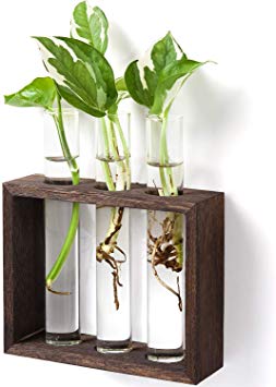 Mkono Wall Hanging Glass Planter Propagation Station Modern Flower Bud Vase in Vintage Wood Stand Rack with 3 Test Tube Tabletop Terrarium for Propagating Hydroponics Plants, Home Office Decoration