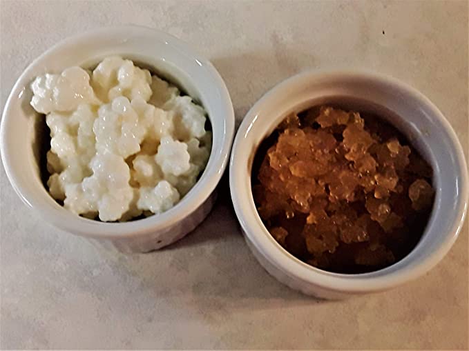 Water and Milk Kefir Grains Try Both from Poseymom