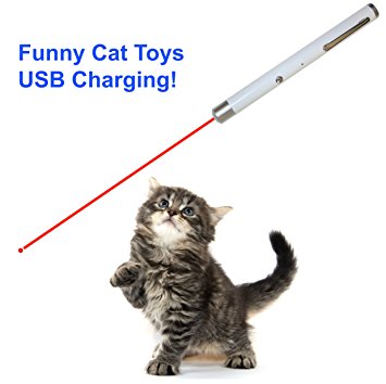 Cat Laser Toys - Crazy Cat Chase Toys - Interactive LED Light Pet Toys - Laser Light Training Tools - USB Charger