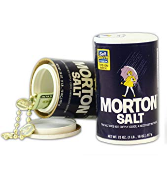 Morton Large 26oz Salt Container Diversion Safe by Bewild