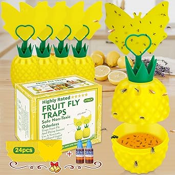 Fruit Fly Trap with Sticker, Effective Fly Catcher Gnat Traps for House Indoor, Fruit Fly Killer Comes with Attractant and Double-Sided Sticker, Non-Toxic Reusable Fly Trap for Home, Kitchen - 4 Pack