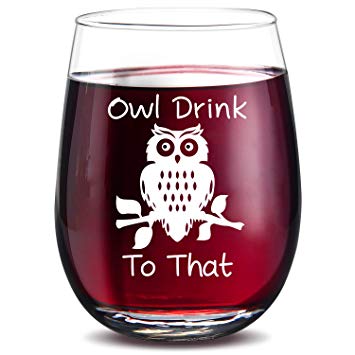 15 Oz Stemless Wine Glass | Owl Drink To That | Funny Best Friend Gift Perfect Owl Themed Birthday Gift for Men Women Girlfriend Her Ladies