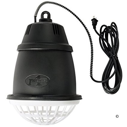 Premier Heat Lamp for Brooders, Lambs and Pets
