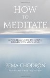 How to Meditate A Practical Guide to Making Friends with Your Mind