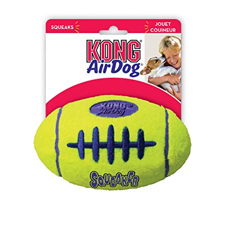 KONG Air Dog Squeaker Dog Toy