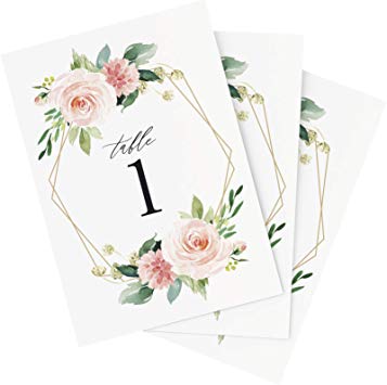 Bliss Collections Geometric Floral Wedding Table Numbers, 1-25, Centerpiece Decorations, Double Sided 4x6 Blush, Coral and Greenery Geo Style Design, Numbers 1-25 & Head Table Card Included