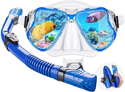 Dry Snorkel Mask Set Snorkeling Gear – Foldable Dry Snorkel Set with Dry-Wet Switchable Float Valve, Purge Valve Tube, Anti Fog 180 Panoramic Silicone No Leak Seal Mask for Adults and Youth
