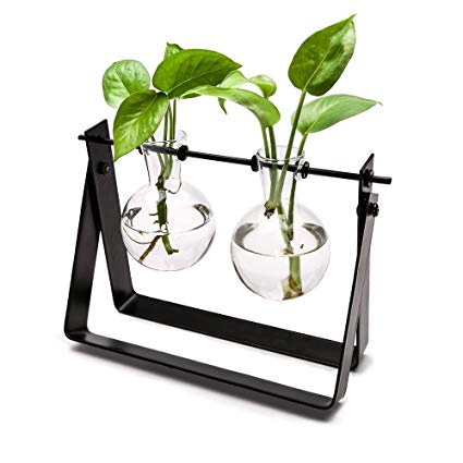 Mkono Plant Terrarium Stand Modern Tabletop Glass Planter Flower Bulb Vase with Metal Swivel Holder for Hydroponics Plants, Home Office Decoration