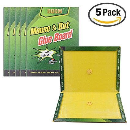 Mouse trap, 5 Pack Mouse Glue Boards, Mouse Glue Traps, Mouse Size Glue Traps Sticky Boards by CRANACH