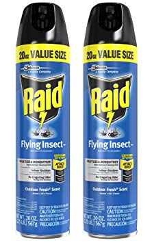 Raid Flying Insect Killer (20 Ounce Pack - 2)