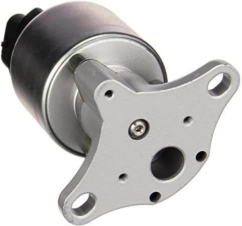 Delphi EG10176 EGR Valve