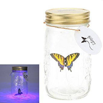OFKP® Romantic Glass LED Lamp Butterfly Jar Valentine Children Gift Decoration (Yellow)